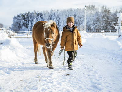 Bild 33 aus  LandSelection Moierhof am Chiemsee - Ferienhof des Jahres