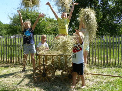 Bild 29 aus  Schauerhof