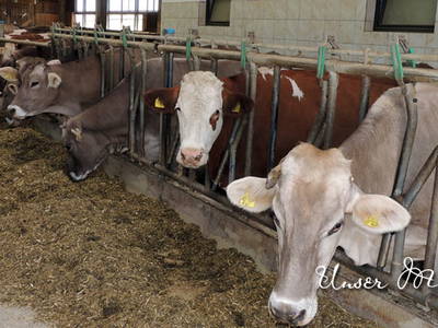 Bild 18 aus  Doasahof