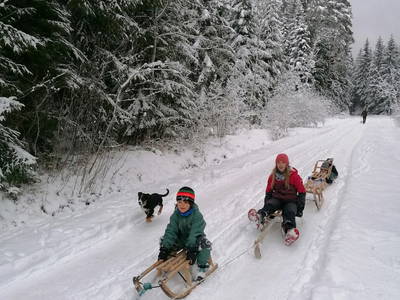 Bild 46 aus  Pension Baarblick