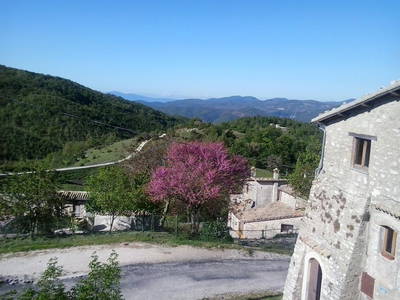 Bild 12 aus  Agriturismo Bartoli