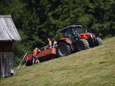 Bild 9 aus  Bruggerhof