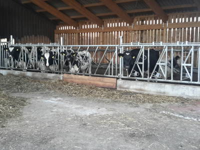 Bild 20 aus  Bauernhof Büchsenschütz