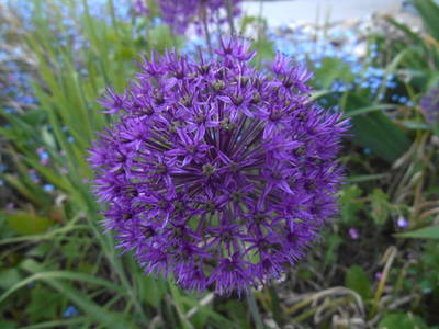 Bild 4 aus  Ferienwohnungen