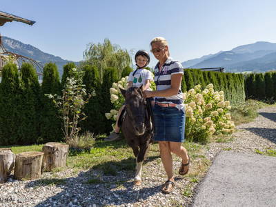 Bild 5 aus  Narzenhof Chalets, Familien & luxus Apartments am Bauernhof, Kitzbühler Alpen