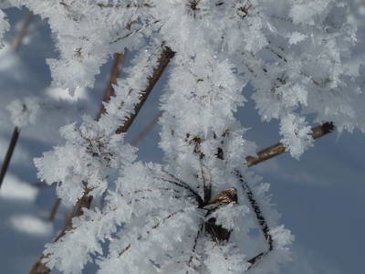 Bild 27 aus  Lechnerhof