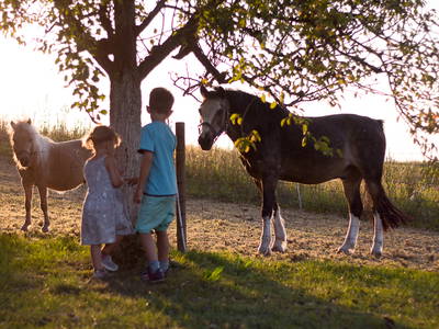 Bild 18 aus  Luginger Hof
