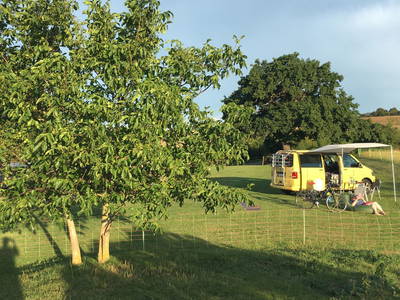 Bild 18 aus  Bauershof, wo die Heidschnucken schlafen