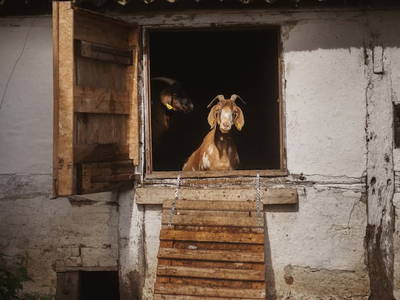 Bild 10 aus  Dambækgaard