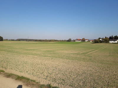 Bild 15 aus  Ferienhof Fink