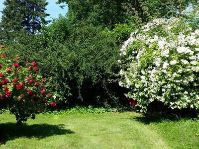 Bild 9 aus  Hof Junkernberg am See