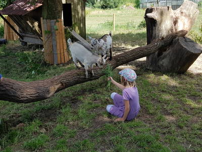 Bild 15 aus  Schümannhof