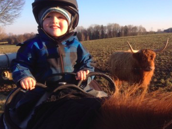 Bild 17 aus  Ferienwohnungen Strobel Eichstegen