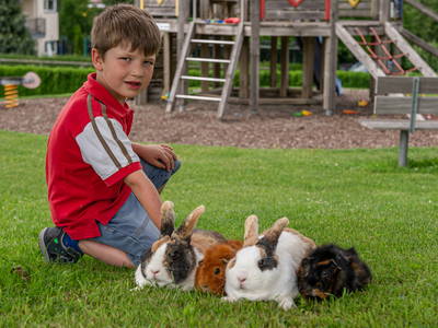 Bild 25 aus  Obst- und Ferienhof Gomeringer