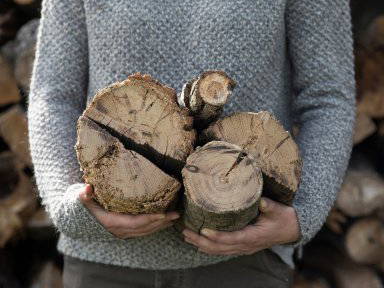 Bild 7 aus  RAMENAI Das Böhmerwaldlerdorf