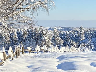 Bild 28 aus  Ferien-Landhaus-Isolde