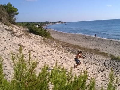 Bild 27 aus  Urlaub auf dem Lande zwischen den zwei Meeren - Apulien - Salento