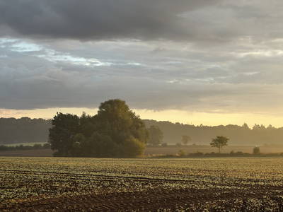 Bild 23 aus  Sande 7