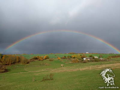 Bild 15 aus  Gut Friedenthal