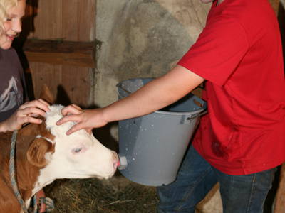 Bild 14 aus  Weidererhof