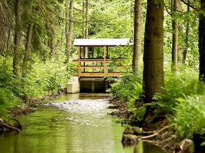 Bild 9 aus  Körnermühle