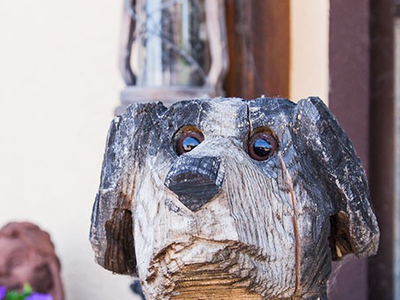 Bild 16 aus  Winzerhof Wiedemann