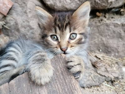 Bild 17 aus  Spörlhof