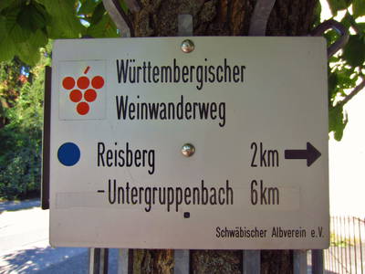 Bild 15 aus  Zum Wolffenturm