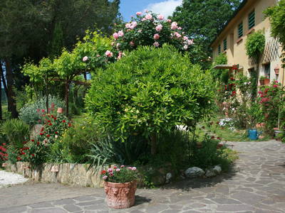 Bild 8 aus  Casa Nova