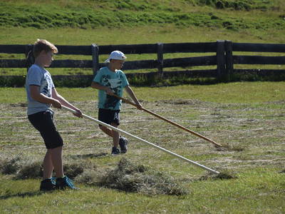 Bild 10 aus  Bruggerhof
