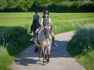 Bild 30 aus  LINDENHOF- BAUERNHOFURLAUB / OSTSEENÄHE