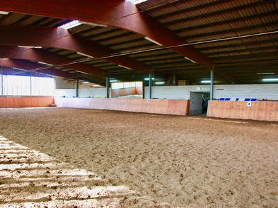 Bild 5 aus  Hof Buddenkotte