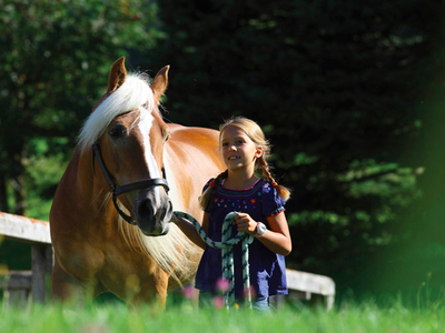 Bild 22 aus  Moserhof