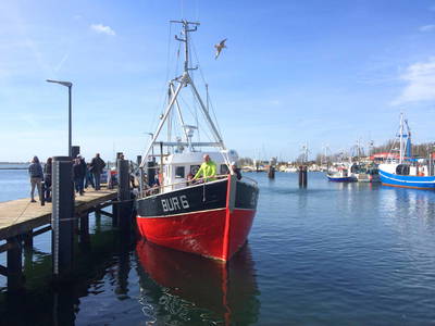 Bild 79 aus  LandSelection Biohof Fehmarn