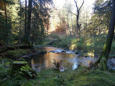 Bild 30 aus  Arber Lofts