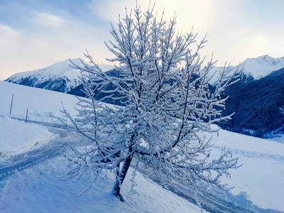 winterliche Eindrücke