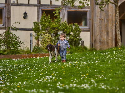 Bild 11 aus  LandSelection Urlaubsreiterhof Trunk *Glückliche Pferde & Menschen*