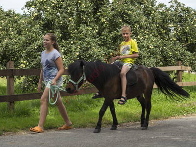Bild 11 aus  Stüblehof - Familie Mock