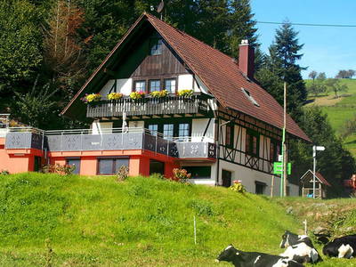 Bild 3 aus  Hochenhof