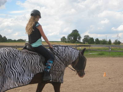 Bild 22 aus  Freizeit- und Ferienreiterhof Odenwald