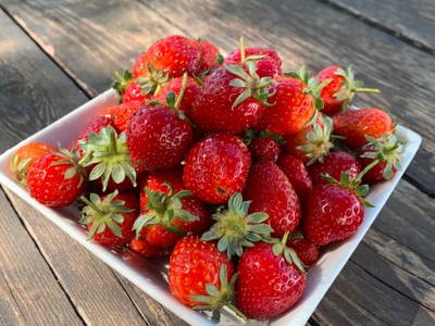 Bild 14 aus  Agriturismo Turudhis