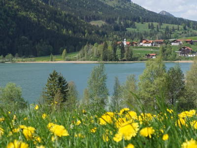 Bild 3 aus  Am Holderbusch