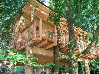 Bild 5 aus  Mainbaumhaus