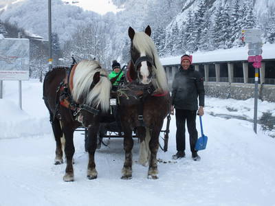 Bild 61 aus  Haus Bergquell mit Pferdestall