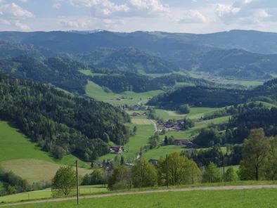 Bild 21 aus  Schlegelhansenhof