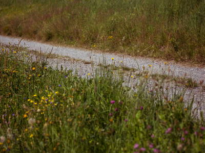 Bild 22 aus  Ferienhaus Kostnerhof
