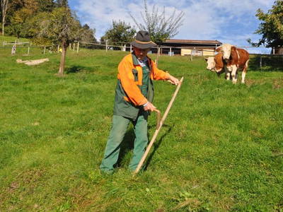 Bild 19 aus  Koglhof