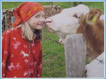 Bild 17 aus  Donauerhof