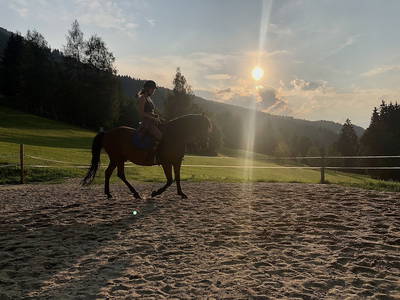 Bild 16 aus  Vordersattlegghof