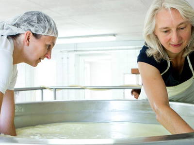 Bild 19 aus  Hollweck's Landoase